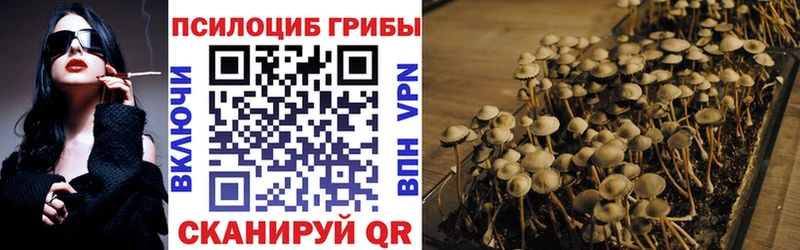 сколько стоит  Терек  Галлюциногенные грибы Magic Shrooms 